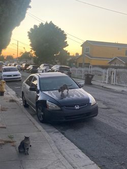 2003 Honda Accord
