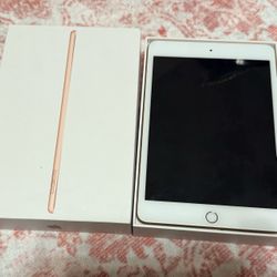iPad Mini 5th Generation 