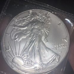 2025 - 1 Troy Ounce  American Silver Eagles Coins