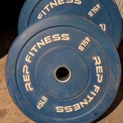 45 Lb Barbell  Rubber Plates