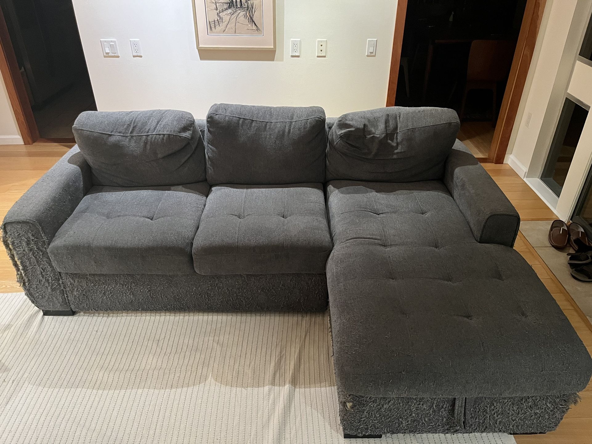 Sleeper sofa 
