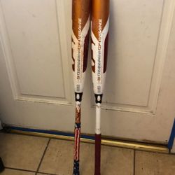 Demarini CF INSANE Baseball Bat 32 Inch 
