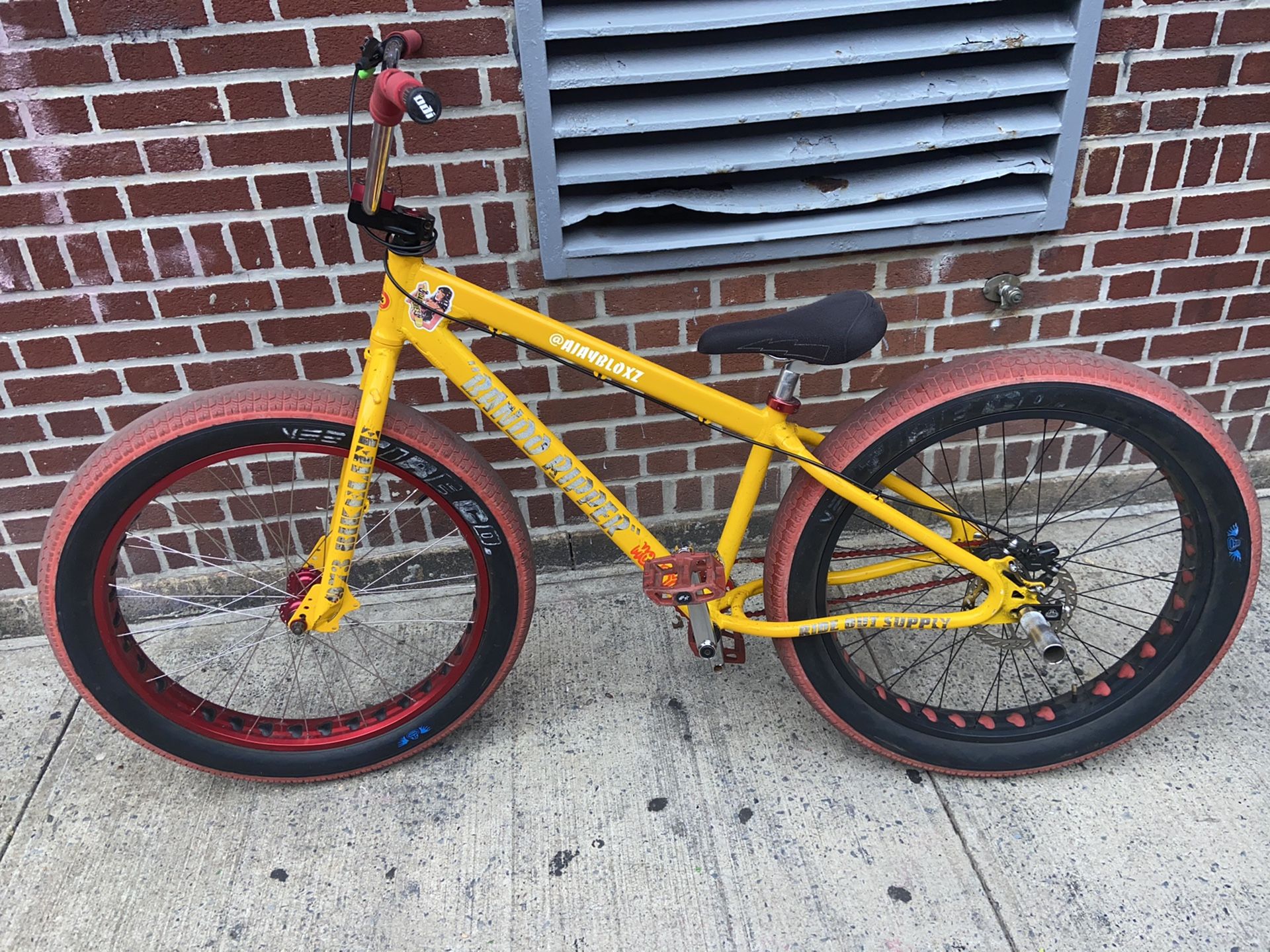 2019 Fat Ripper ( SE Bike )