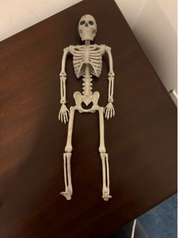 Halloween Decor Human Skeleton
