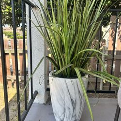 Fake Plant (Big Size) 