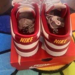 Nike Dunk Low Retro 11.5 