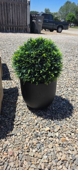 Topiary balls