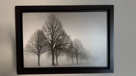 Picture frame