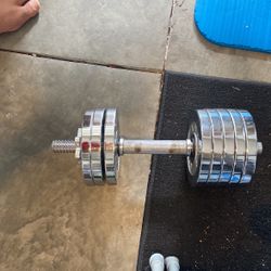 Adjustable Weight Chrome Dumbbells Set 40 Lbs 