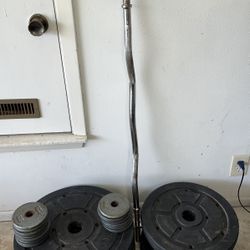 Exercise Weight Plates