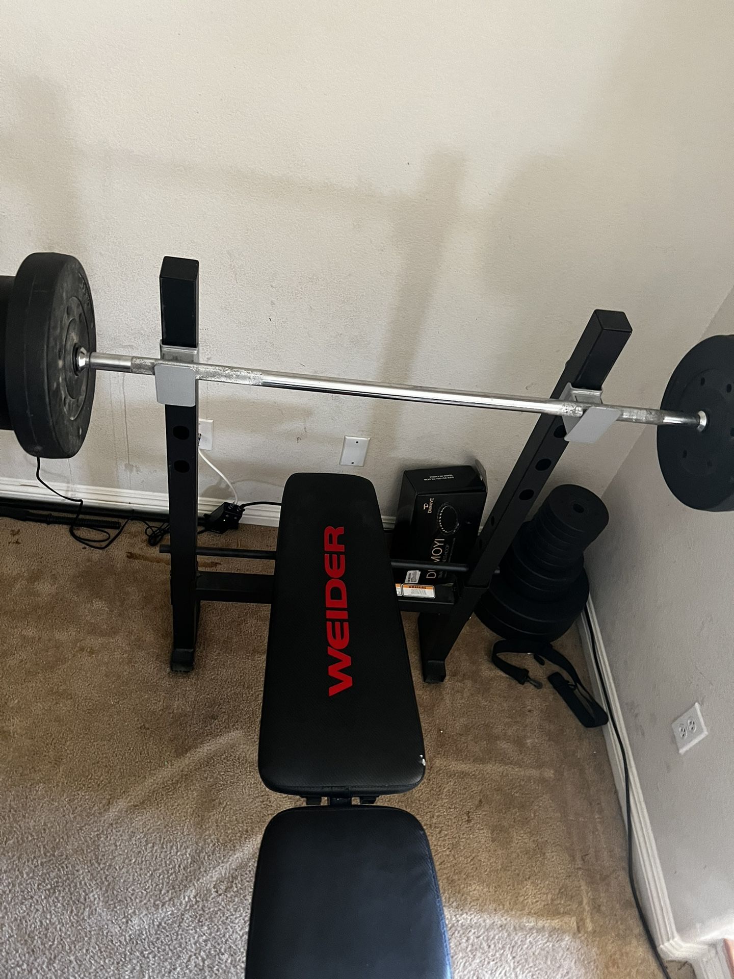 Bench press + 200 pounds in weight 