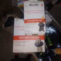 Dog Recovery Collards 