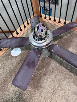 Fan for free