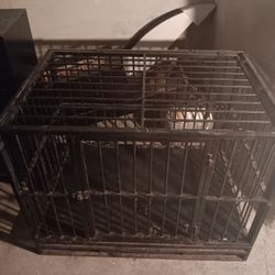 Dog Cage Is A 