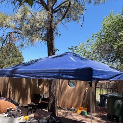 10x10 Pop Up Shelter 