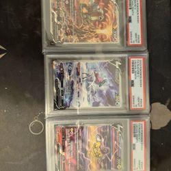 SEQUENTIAL CROWN ZENITH DOGS