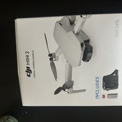 DJI MINI 2