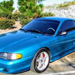 Paint Polishing/Ceramic Coating 