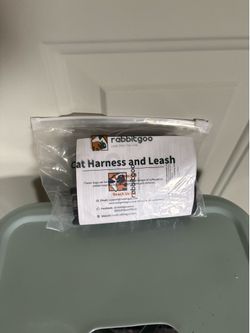Cat  or small dog leash and harness