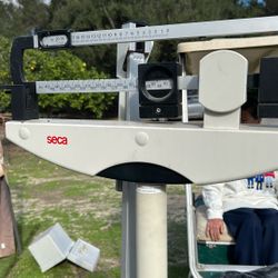 Seca  medical Scale