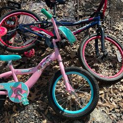 2 Bikes 1 Girls Size16 Inch Boys Size 20 Inches 