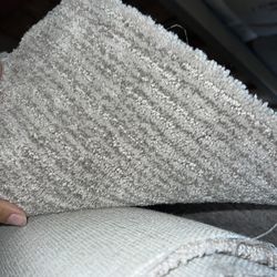 Grey Carpet $399