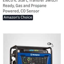 Westinghouse Home  Generator 