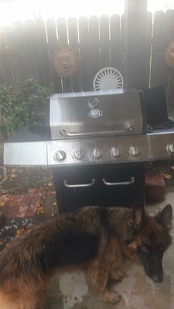 barbecue expert Grill $150.00