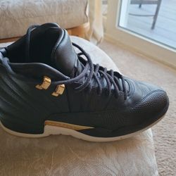 Air Jordan 12 Retro 8.5. Snakeskin Womens