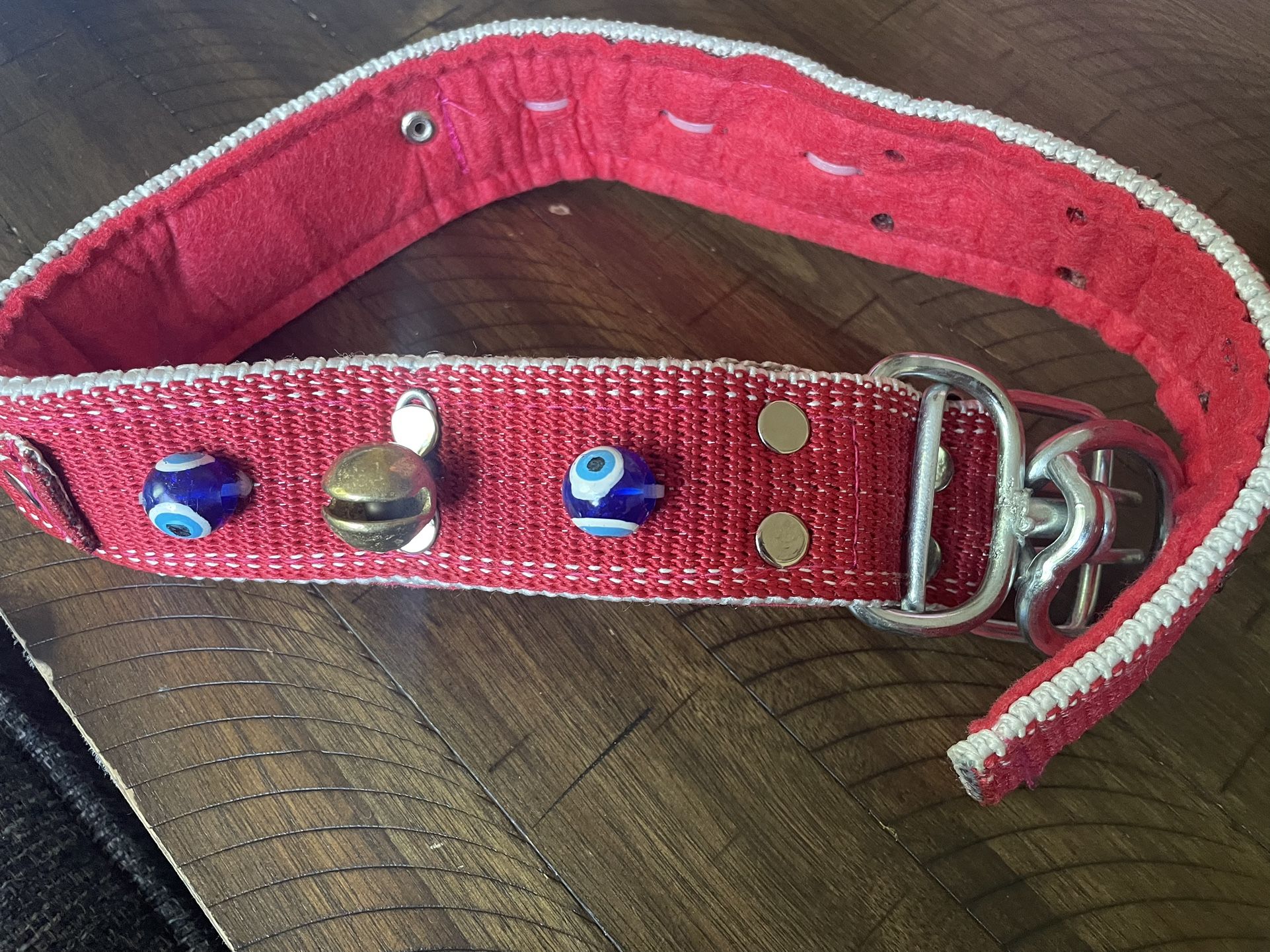 dog collar wit