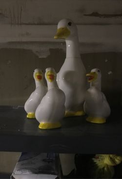 EUC Ceramic ducks for indoor use $10