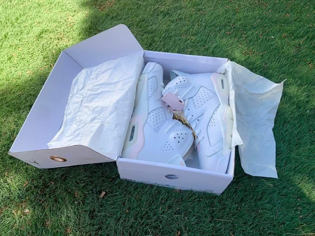 Air Jordan 6 Retro Gold Hoops 