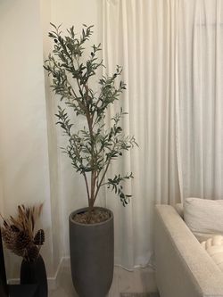 Faux Olive Tree in Gray Planter