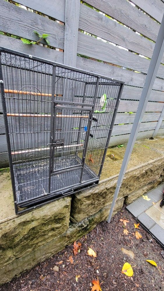 Cage Birds