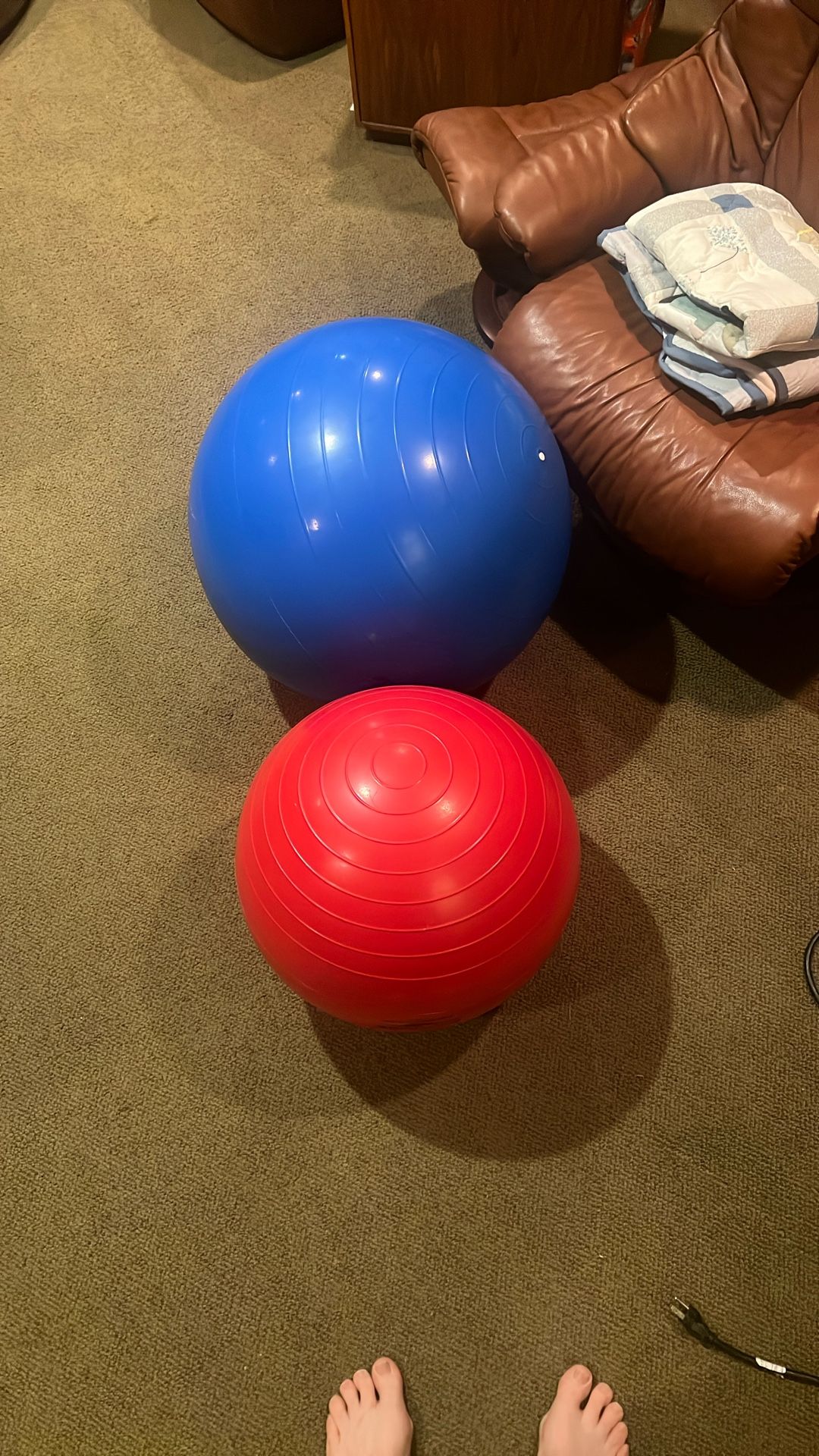 Two exercise ball