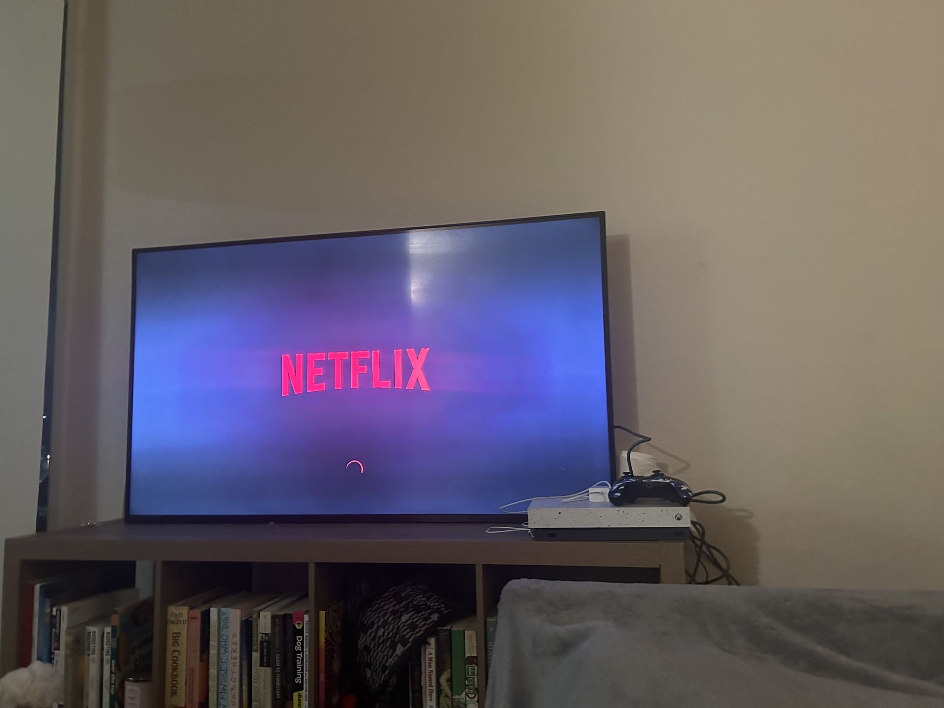 55 In Flat Screen