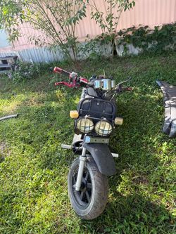 50 cc scooter ice bear