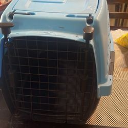 PET Carrier 