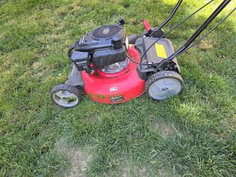 lawn mower powersmart gas