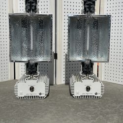 Gavita Pro 1000 e Grow Light