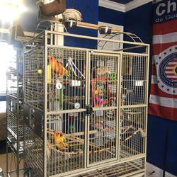 Bird Cage 