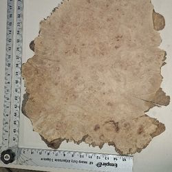 Burl Wood 