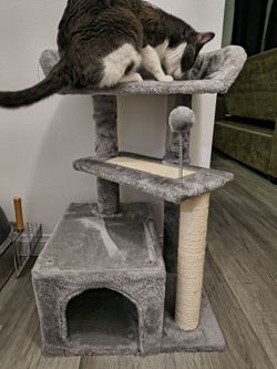 Grey cat tree