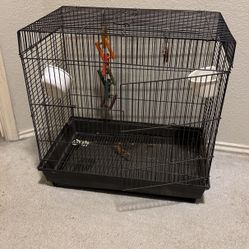 Bird Cage 18" X 24"