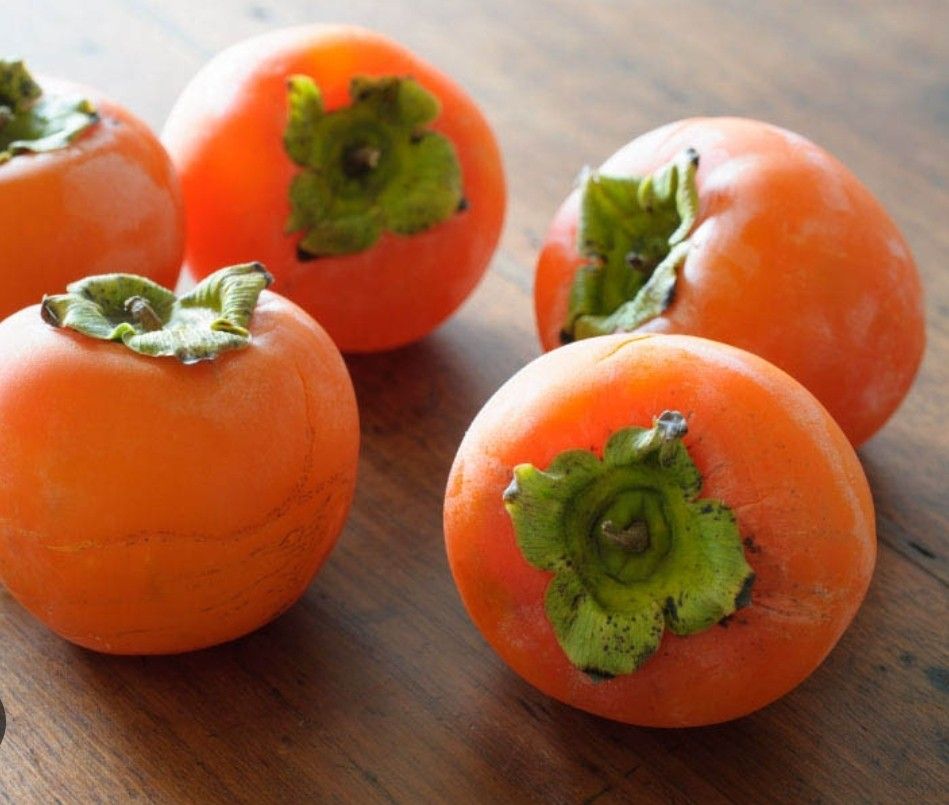 Triumph Persimmon Grafted Trees In 3gal Arboles De Caqui,persimmon Tropical Injertado 3gal