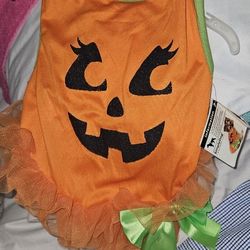 Dog Costume Size Medium 