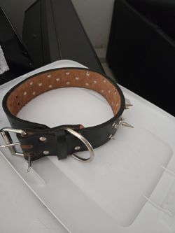 Dog Collar with Spikes