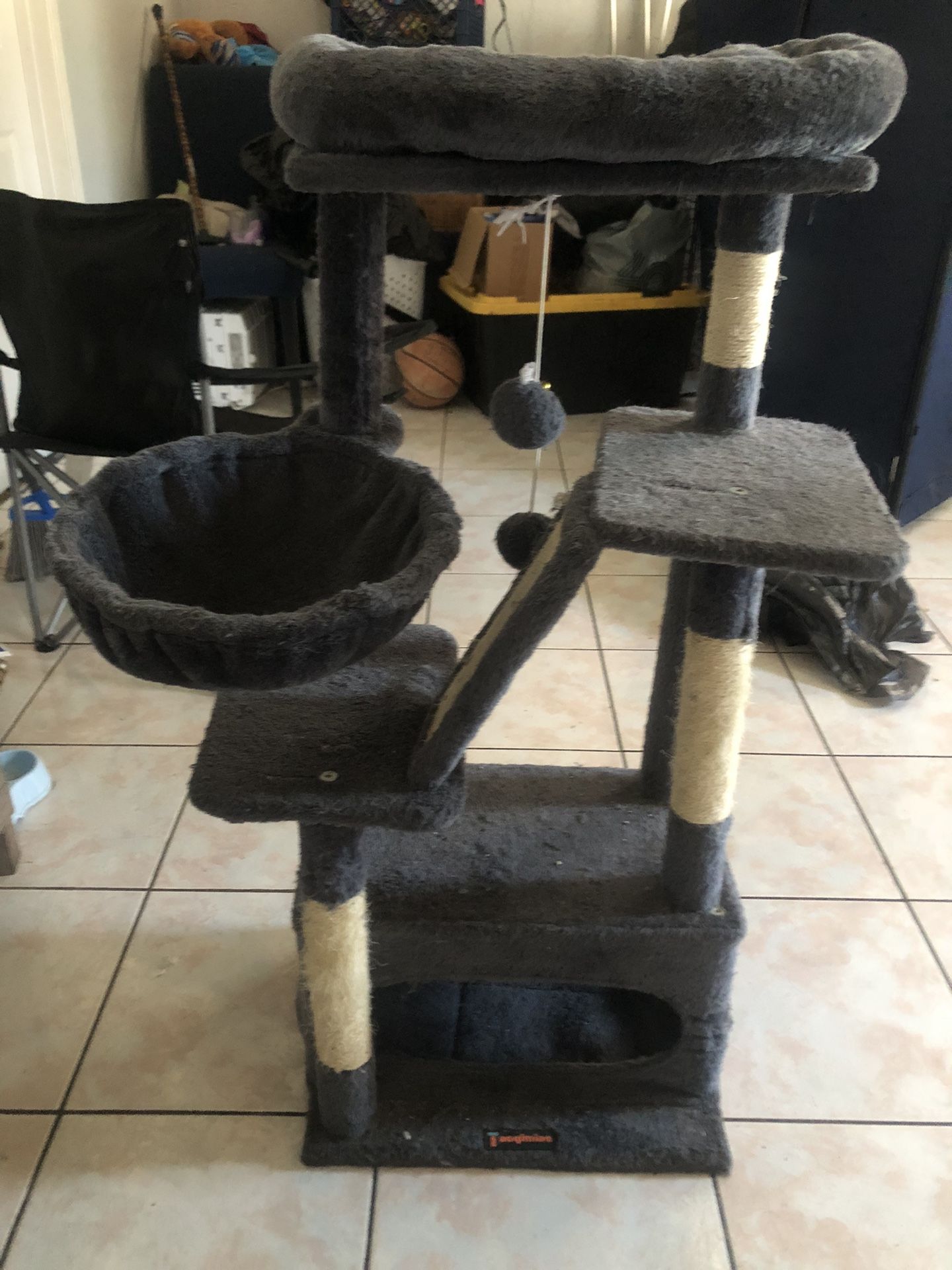 Cat Climber