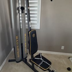 Gold's Gym Multi-by Position Lat Bar Unisex Adult Exercise  Power Cages