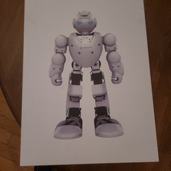 UBTECH ROBOTICS